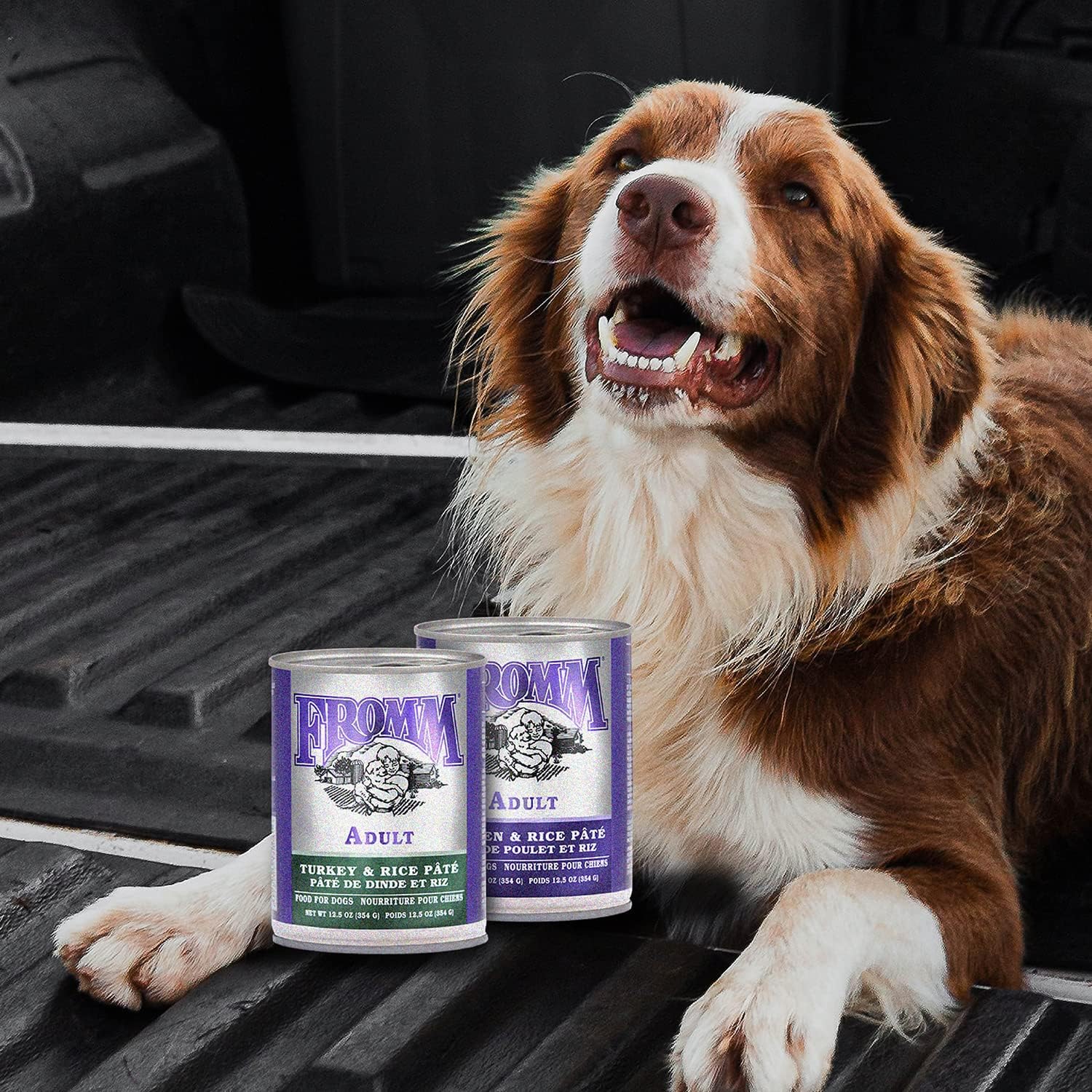 Fromm Classic Adult Turkey & Rice Pate Dog Food - Premium Wet Dog Food - Turkey Recipe - Case of 12 Cans - Image 3
