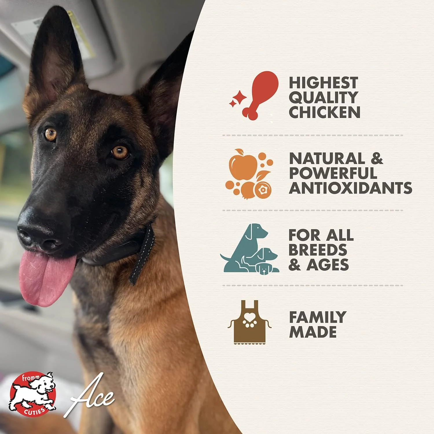 Fromm Diner Favorites Louie's Chicken & Pasta Stew Dog Food - Premium Wet Dog Food - Chicken Recipe - Case of 12 Cans - Image 2