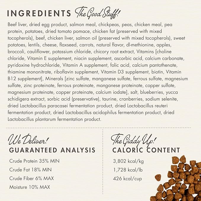Fromm Four-Star Nutritionals Beef Livattini Veg Cat Food - Premium Dry Cat Food - Beef Recipe - Image 3