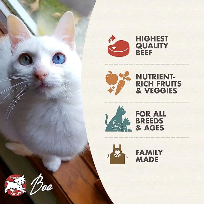 Fromm Four-Star Nutritionals Beef Livattini Veg Cat Food - Premium Dry Cat Food - Beef Recipe - Image 4