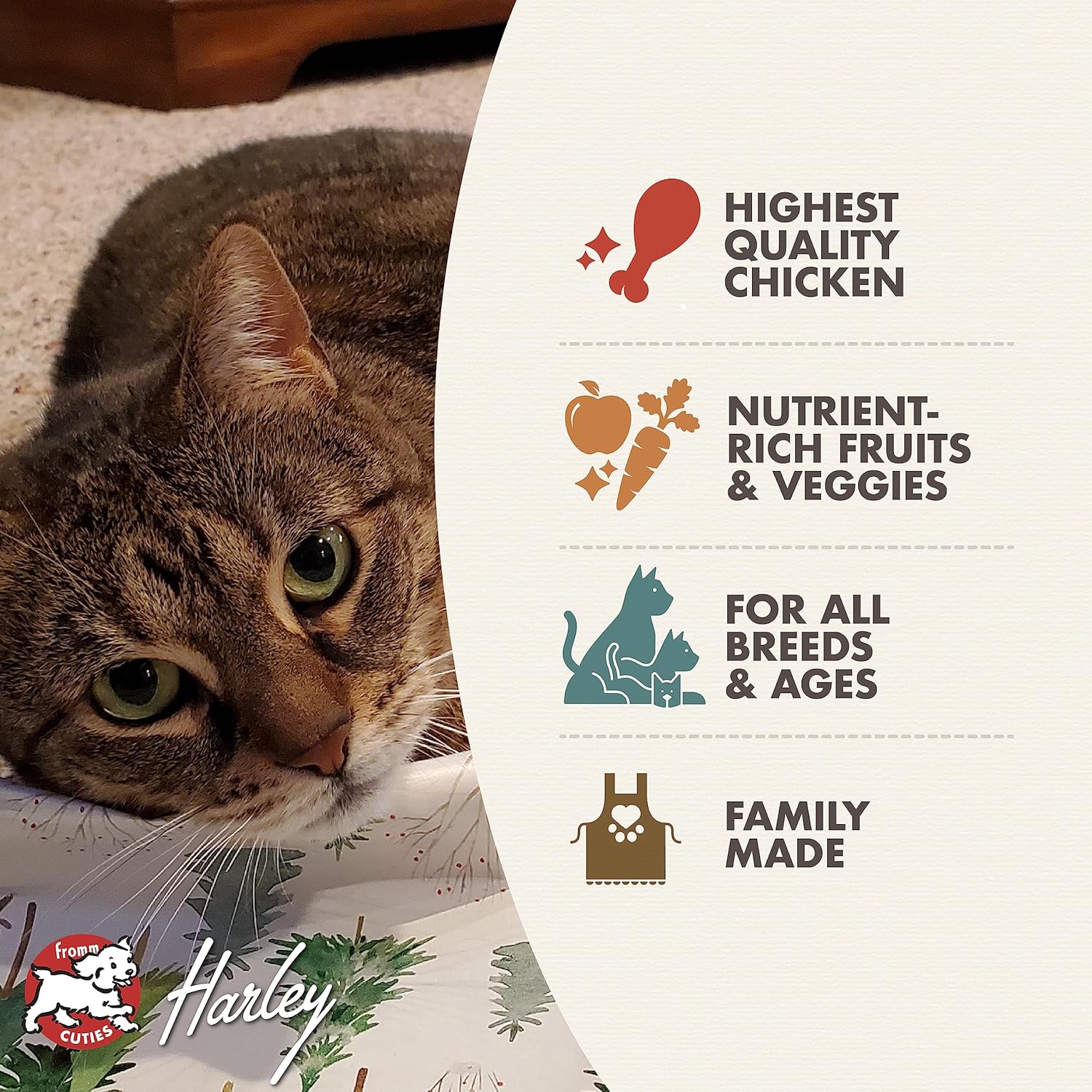 Fromm Four-Star Nutritionals Chicken Au Frommage Cat Food - Premium Dry Cat Food - Chicken Recipe - Image 2