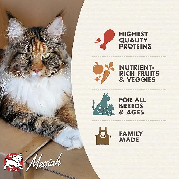 Fromm Four-Star Nutritionals Game Bird Cat Food - Premium Dry Cat Food - Turkey Recipe - Image 3