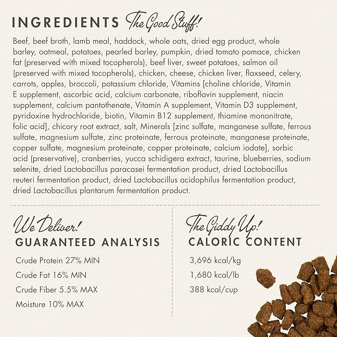 Fromm Four-Star Nutritionals Highlander Beef, Oats, & Barley Dog Food - Premium Dry Dog Food - Beef Recipe - Image 3