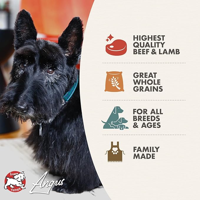 Fromm Four-Star Nutritionals Highlander Beef, Oats, & Barley Dog Food - Premium Dry Dog Food - Beef Recipe - Image 5