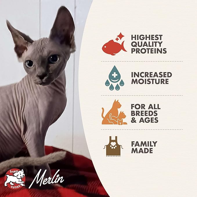 Fromm Four-Star Nutritionals Seafood & Shrimp Pate Cat Food - Premium Wet Cat Food - Salmon Recipe - Case of (12) 5.5 oz Cans - Image 3