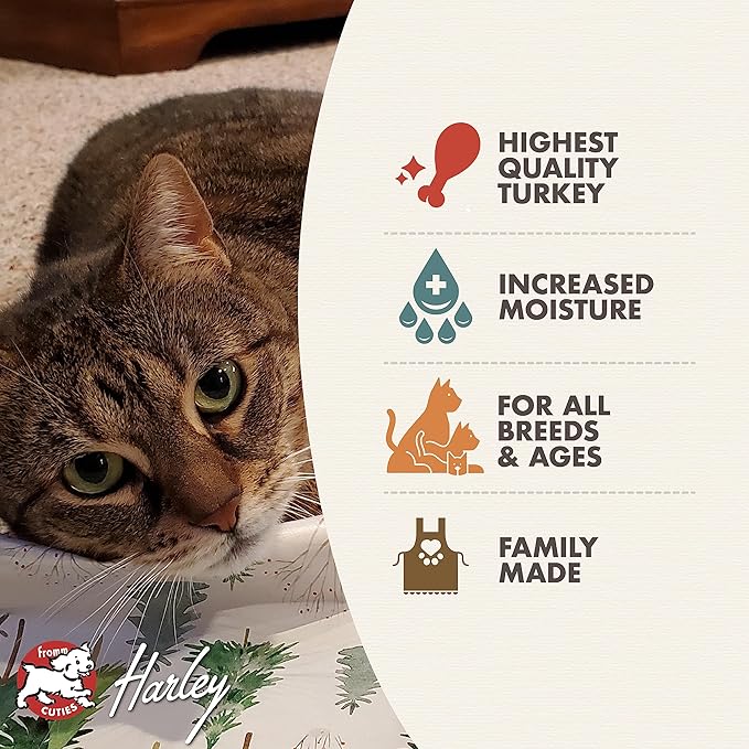 Fromm Four-Star Nutritionals Shredded Turkey in Gravy Entrée - Premium Wet Cat Food - Turkey Recipe - Case of (12) 5.5 oz Cans - Image 3