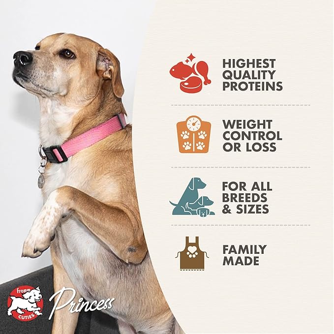 Fromm Gold Coast Weight Management Premium Dog Food - Weight Management Dry Dog Food - Whitefish Recipe - Image 2