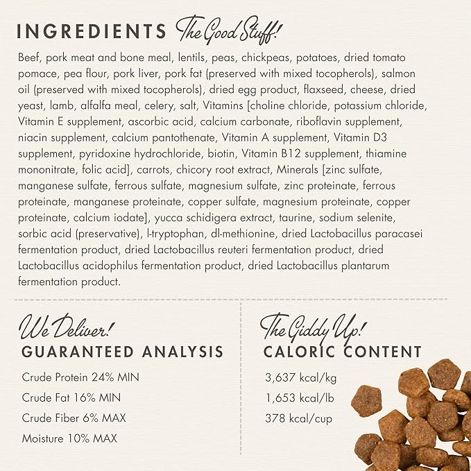 Fromm Heartland Gold Adult Premium Dry Dog Food - Beef Recipe - Image 2