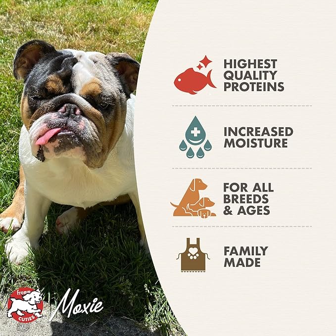Fromm Seafood Medley Pate Dog Food - Premium Wet Dog Food - Salmon Recipe - Case of 12 Cans - Image 5