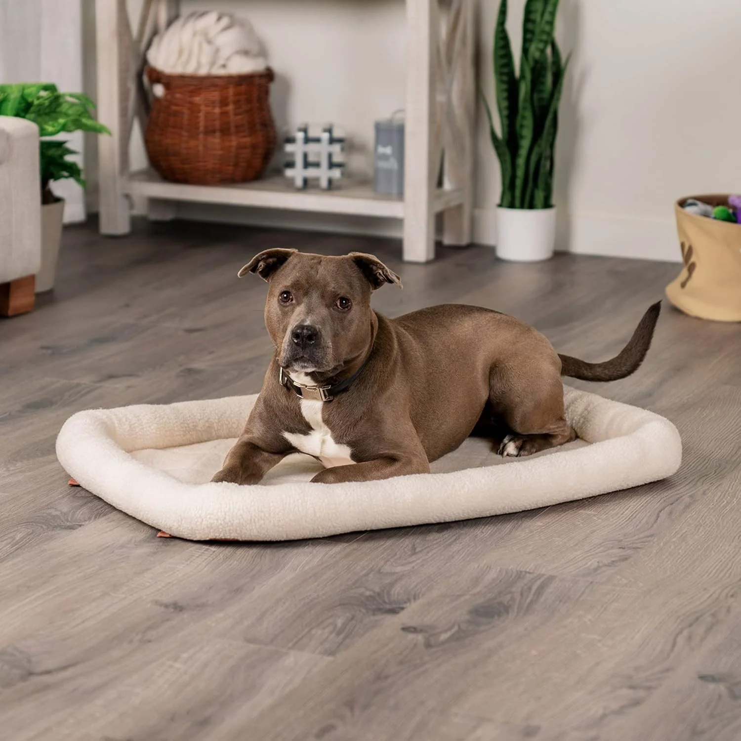 Furhaven Dog Bed for Large/Medium Dogs, 100% Washable, Sized to Fit Crates - Sherpa Fleece Bolster Crate Pad - Cream - Image 3