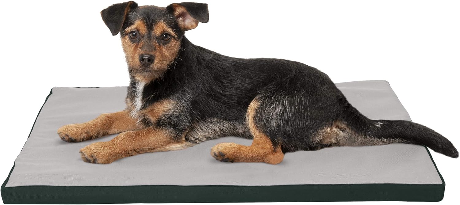 Furhaven Water-Resistant Dog Bed for Extra Small Dogs w/ Removable Washable Cover, Perfect for Crates & Kennels, For Dogs Up to 12 lbs - Two-Tone Reversible Crate Pad - Green/Gray - Image 2