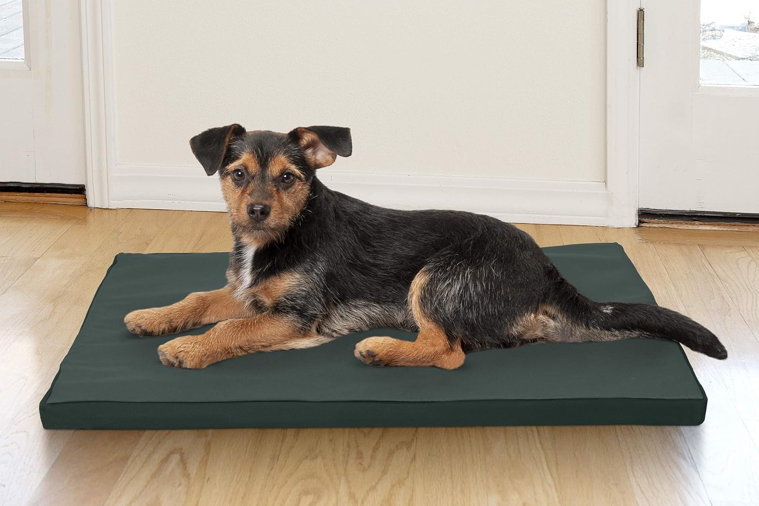 Furhaven Water-Resistant Dog Bed for Extra Small Dogs w/ Removable Washable Cover, Perfect for Crates & Kennels, For Dogs Up to 12 lbs - Two-Tone Reversible Crate Pad - Green/Gray - Image 7