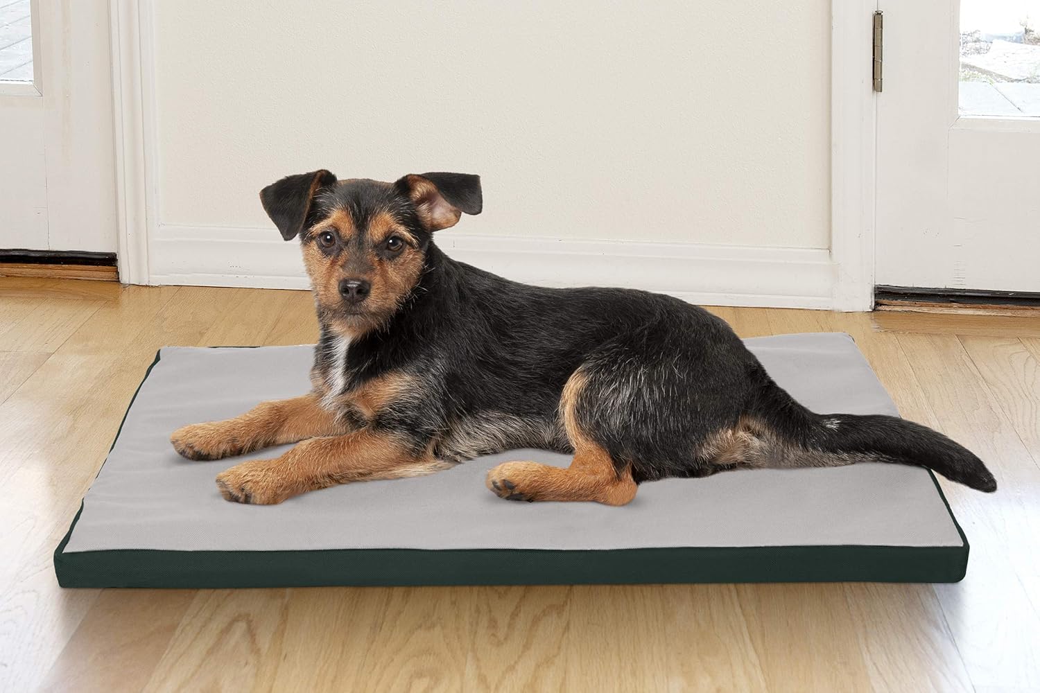 Furhaven Water-Resistant Dog Bed for Extra Small Dogs w/ Removable Washable Cover, Perfect for Crates & Kennels, For Dogs Up to 12 lbs - Two-Tone Reversible Crate Pad - Green/Gray - Image 8