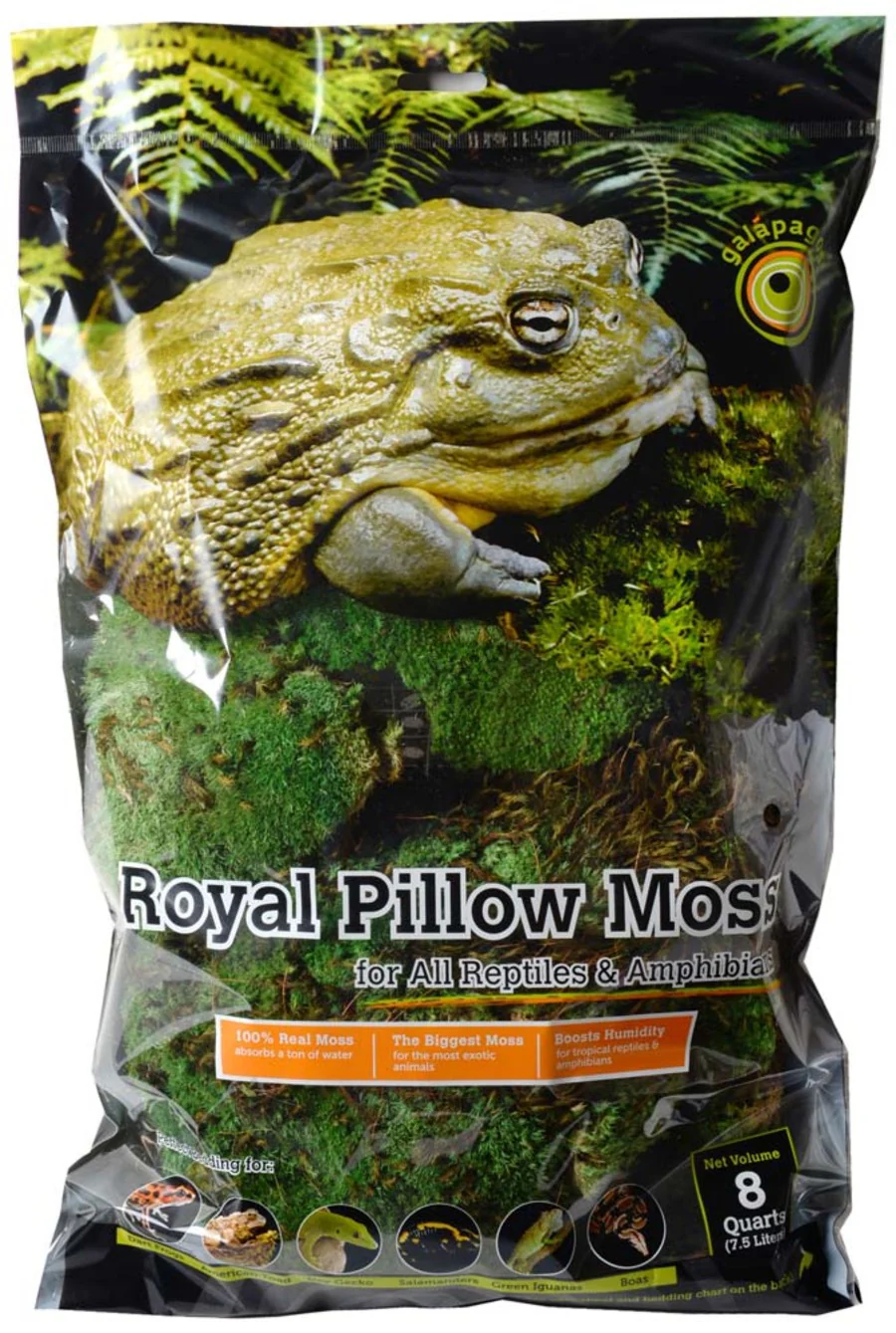 Galápagos (05254) Royal Clumps of Real Pillow, Natural - Image 10