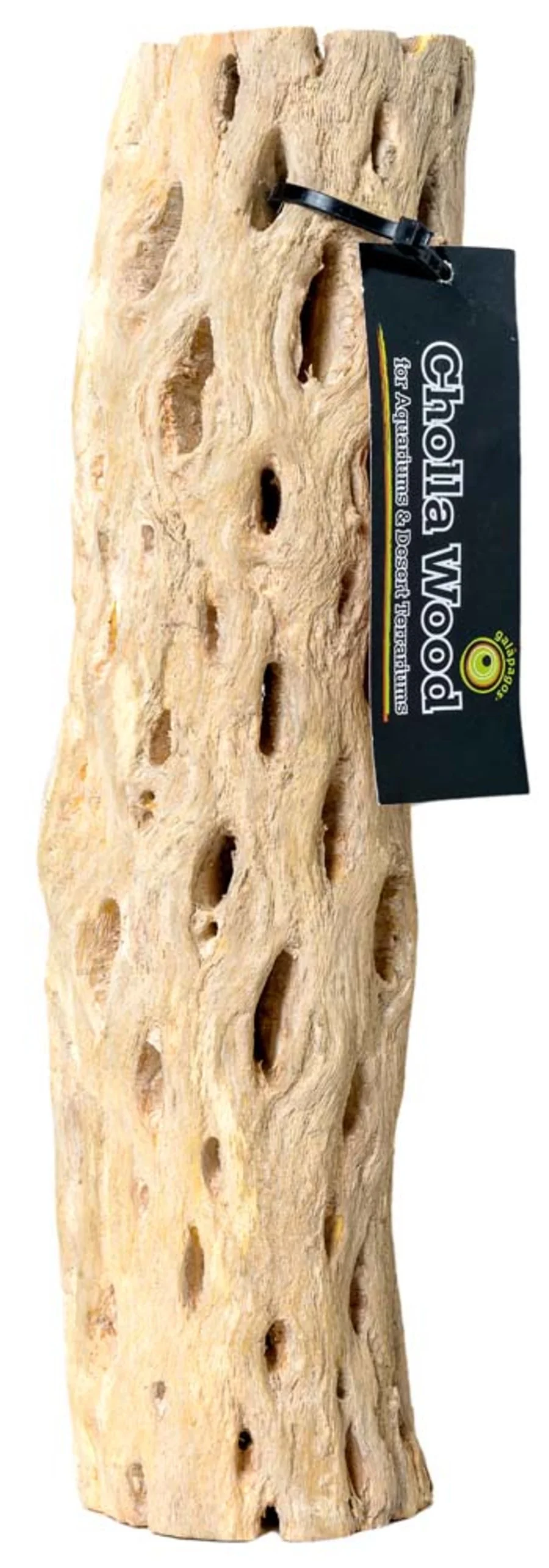 Galápagos (05271) Cholla Wood - Natural Aquarium & Terrarium Decoration for Fish Tanks, Reptile Tanks, and Bird Perches, Natural - Image 6