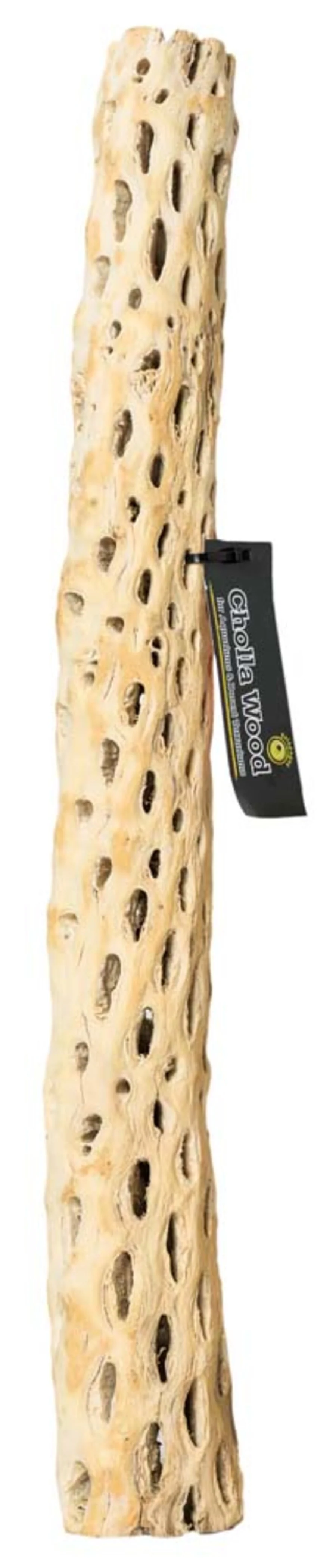 Galápagos (05271) Cholla Wood - Natural Aquarium & Terrarium Decoration for Fish Tanks, Reptile Tanks, and Bird Perches, Natural - Image 7