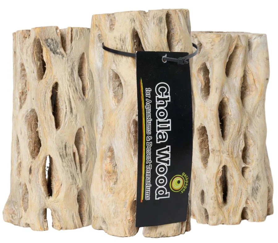 Galápagos (05271) Cholla Wood - Natural Aquarium & Terrarium Decoration for Fish Tanks, Reptile Tanks, and Bird Perches, Natural - Image 8