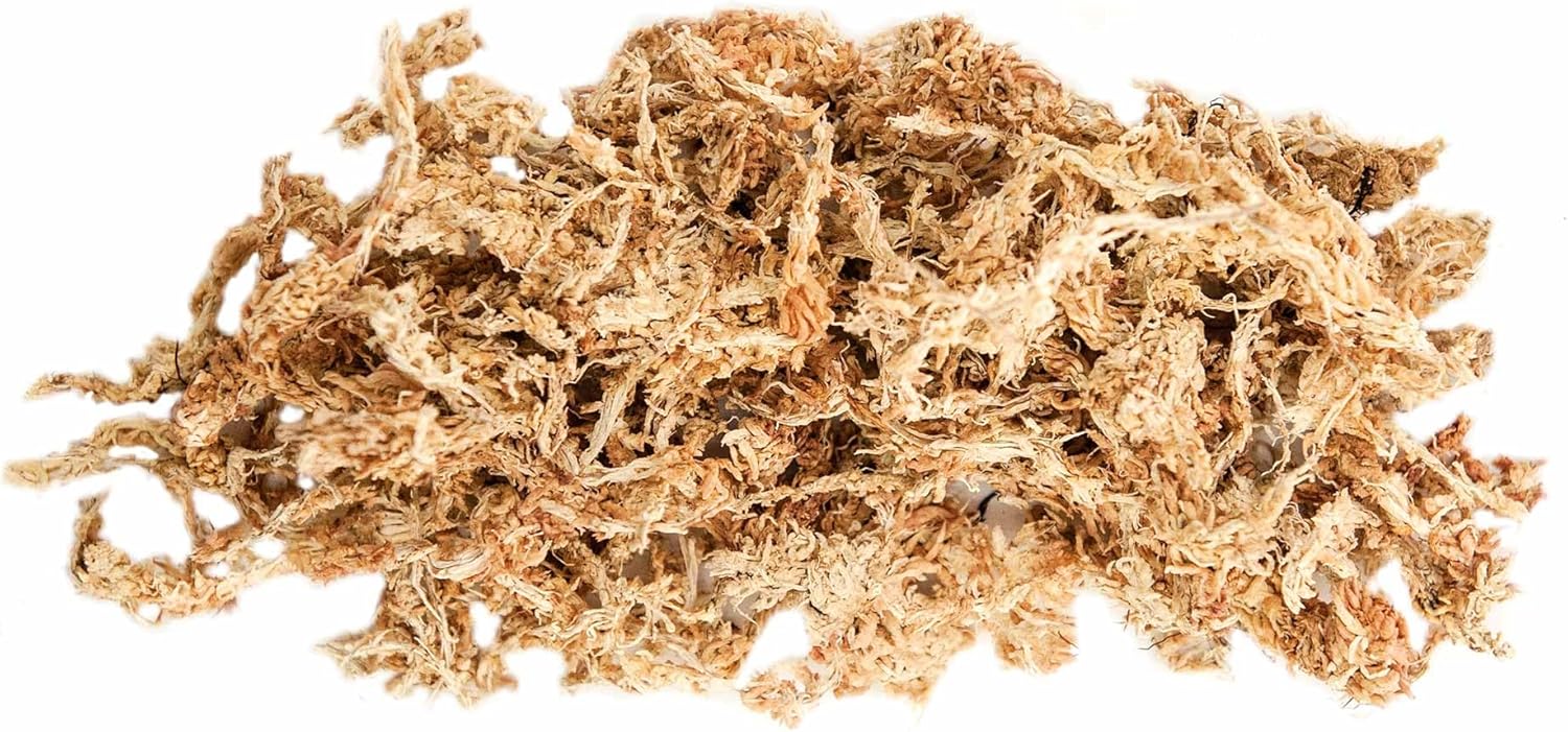 Galápagos (05350) Humid Environment Terrarium Kit – Essential Moss Accessories for Dart Frogs, Iguanas, Chameleons & Reptile Tanks - Image 4