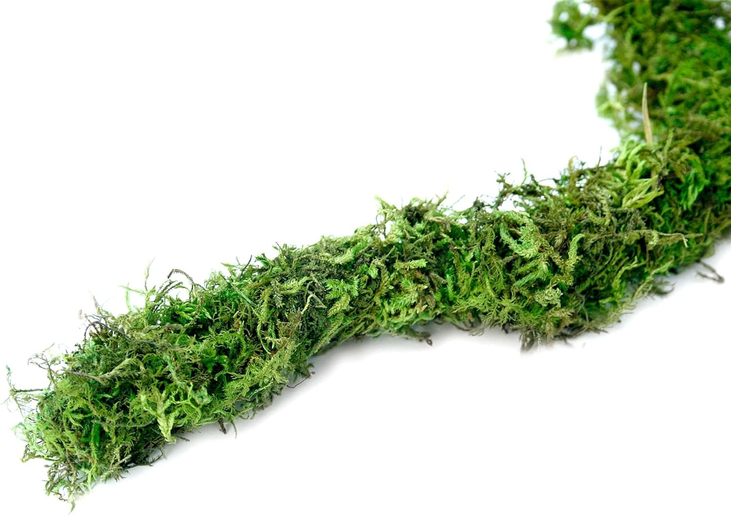Galápagos (05350) Humid Environment Terrarium Kit – Essential Moss Accessories for Dart Frogs, Iguanas, Chameleons & Reptile Tanks - Image 8