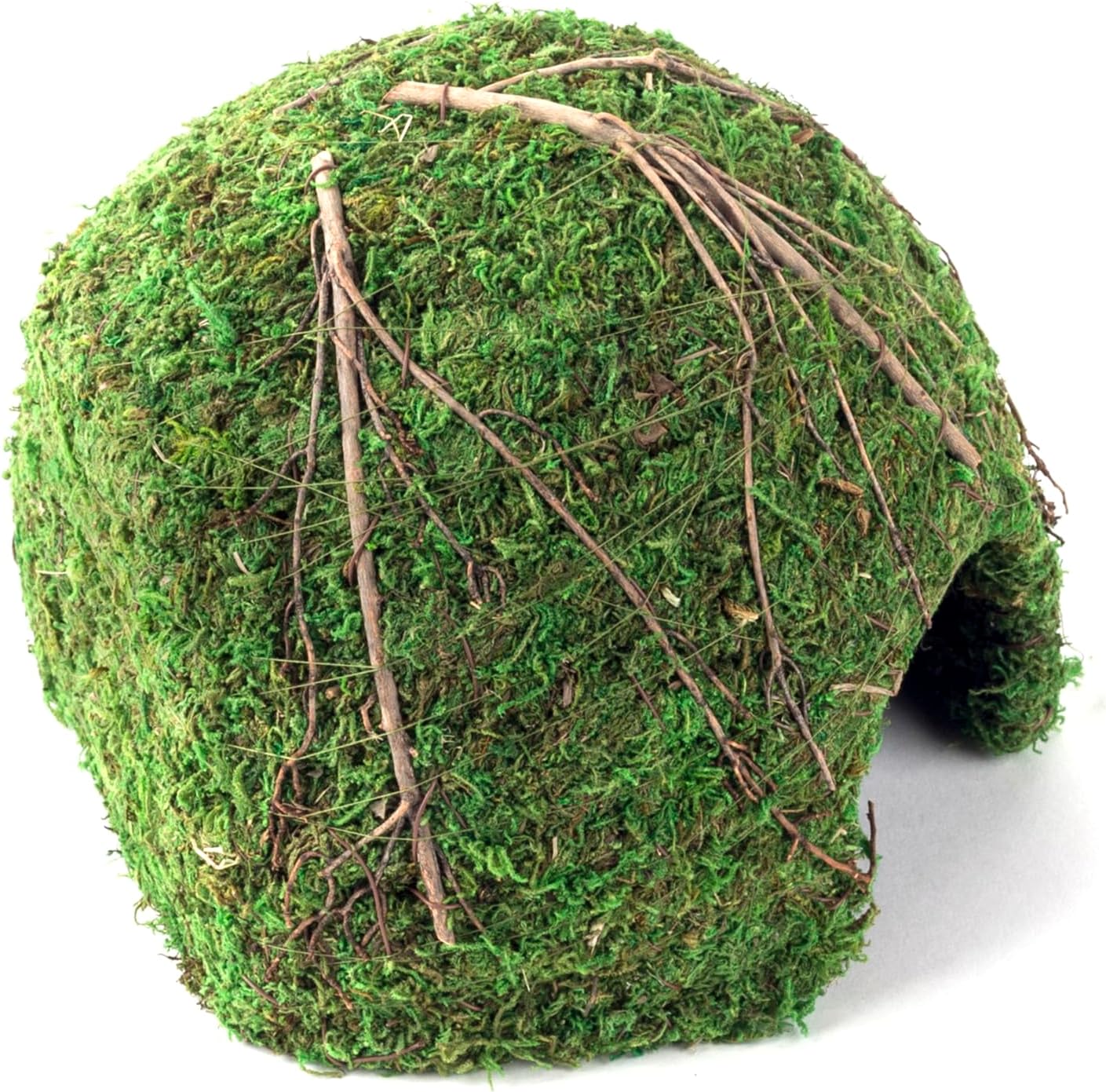 Galápagos Mossy Dome Hide, Vined - Image 2