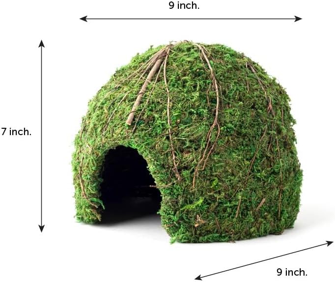 Galápagos Mossy Dome Hide, Vined - Image 4
