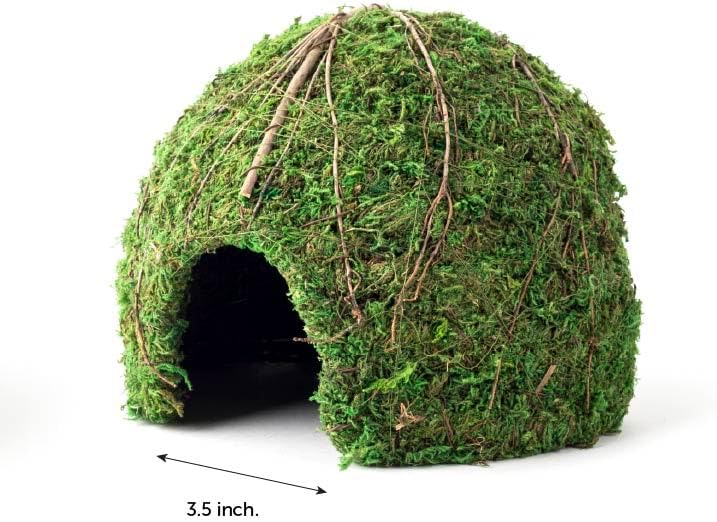 Galápagos Mossy Dome Hide, Vined - Image 5
