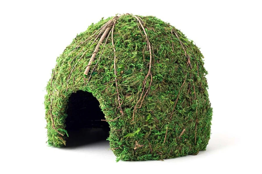 Galápagos Mossy Dome Hide, Vined - Image 7