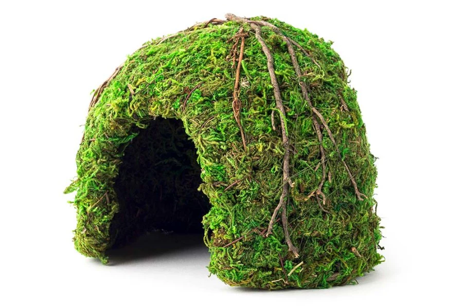 Galápagos Mossy Dome Hide, Vined - Image 8