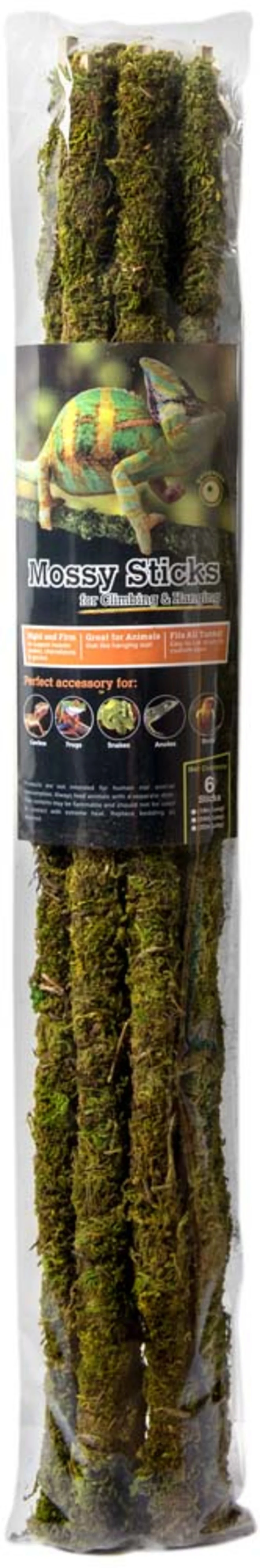 Galápagos Mossy Terrarium Sticks - Image 4