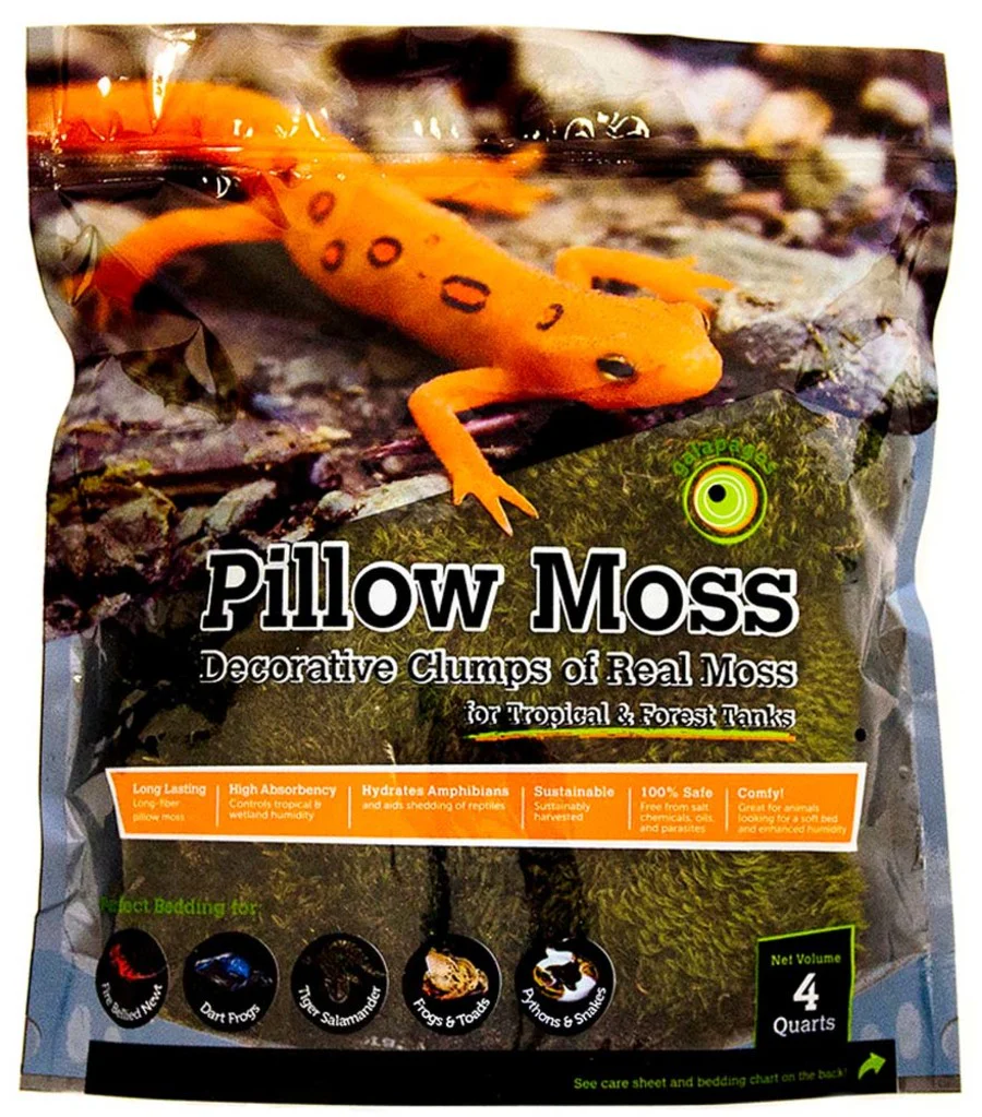 Galápagos Pillow Moss, Fresh Green, Header Bag - Image 6