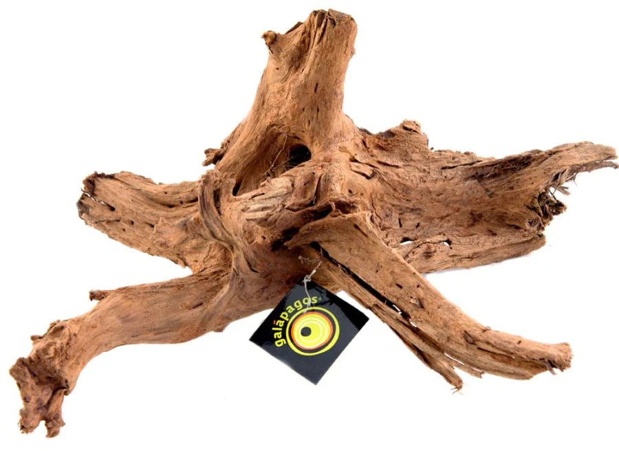 Galápagos Sinkable Driftwood Bed, Natural - Image 4