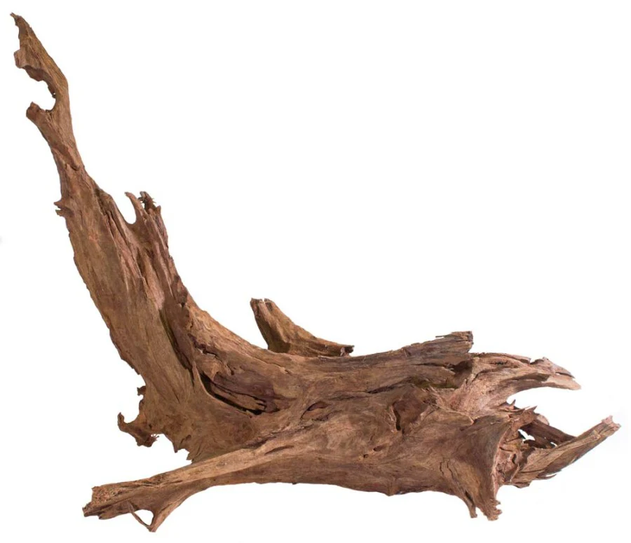 Galápagos Sinkable Driftwood Bed, Natural - Image 5