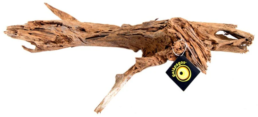 Galápagos Sinkable Driftwood Bed, Natural - Image 6