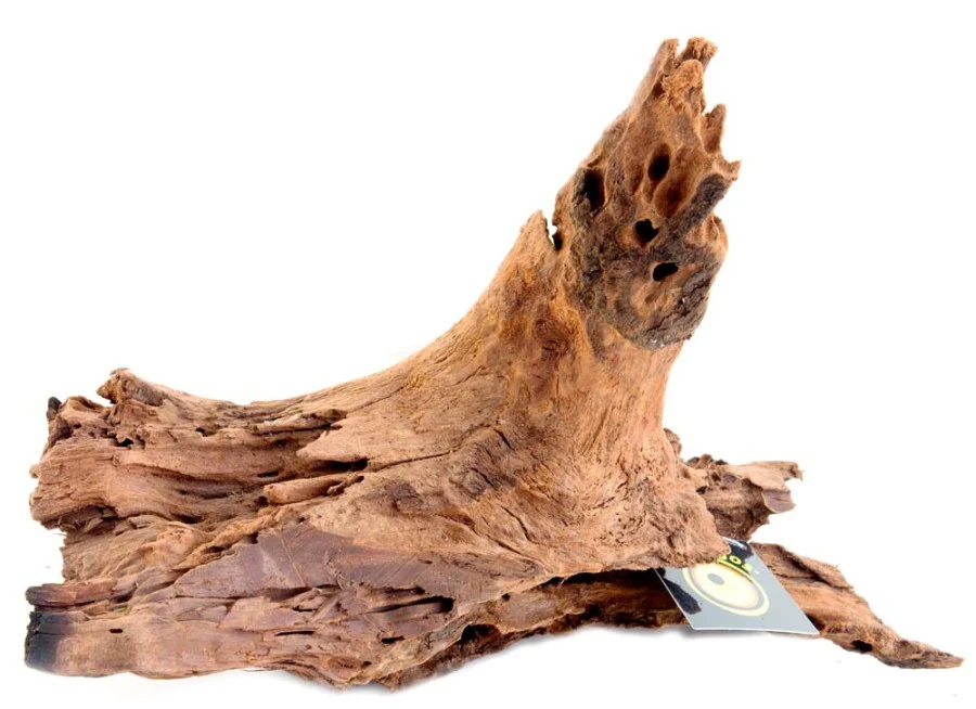 Galápagos Sinkable Driftwood Bed, Natural - Image 7