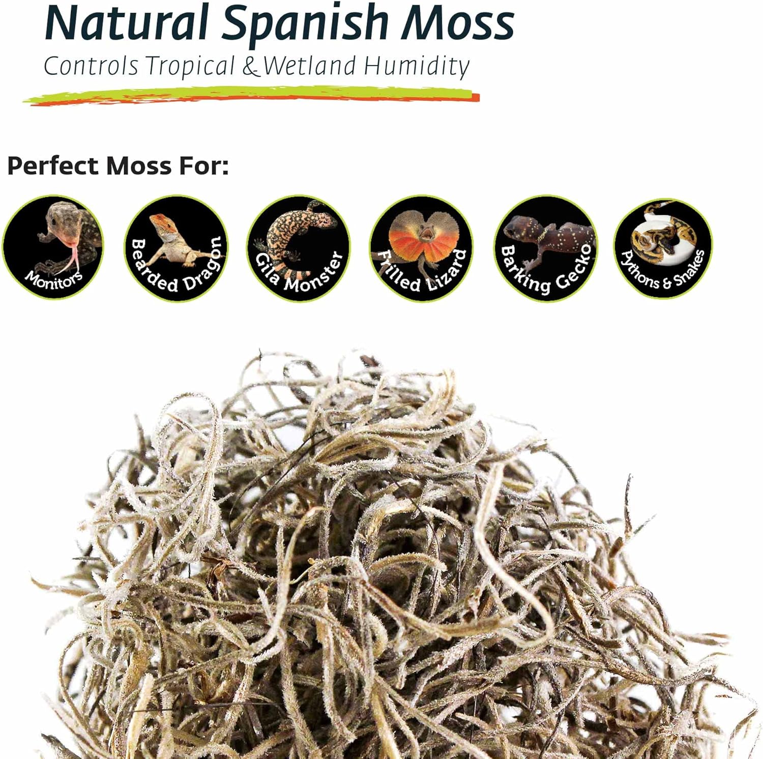 Galápagos Spanish Moss, Mini Bag - Image 5