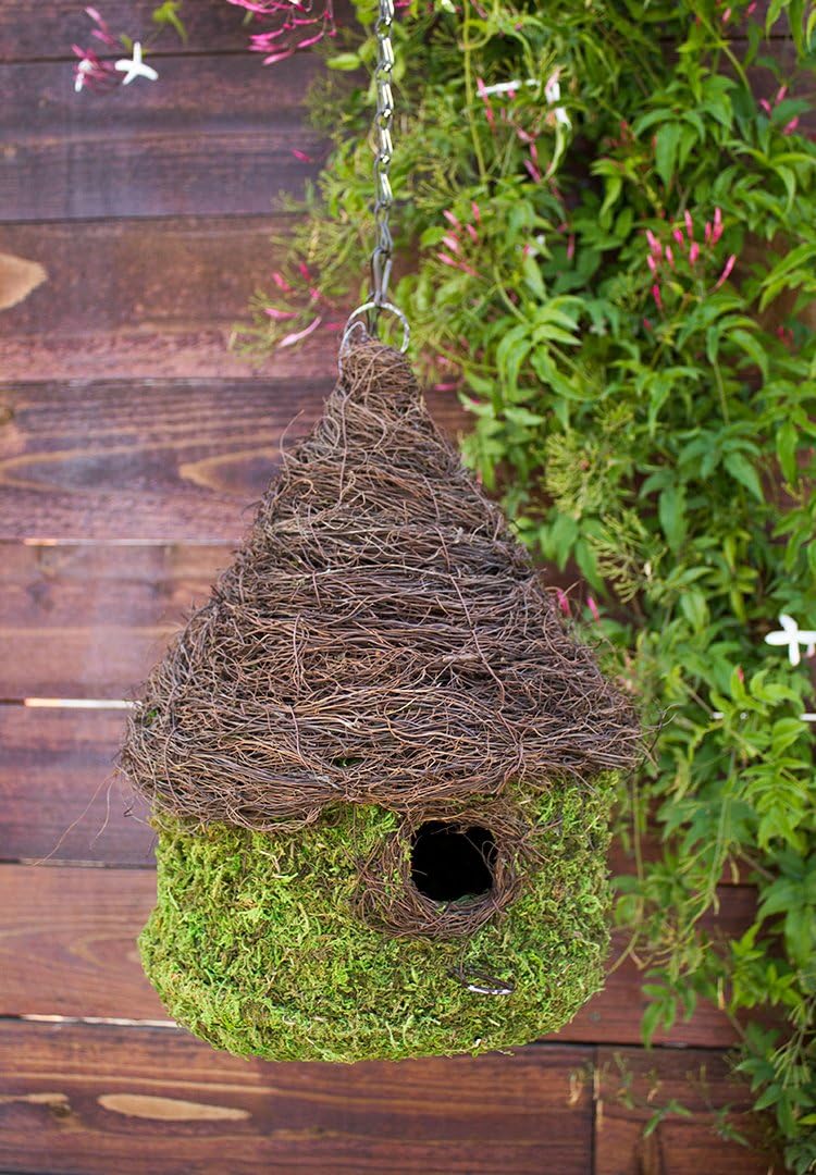 Galápagos SuperMoss (56013) Bungalow Birdhouse with Chain, 11 by 15-Inch, Fresh Green - Image 3