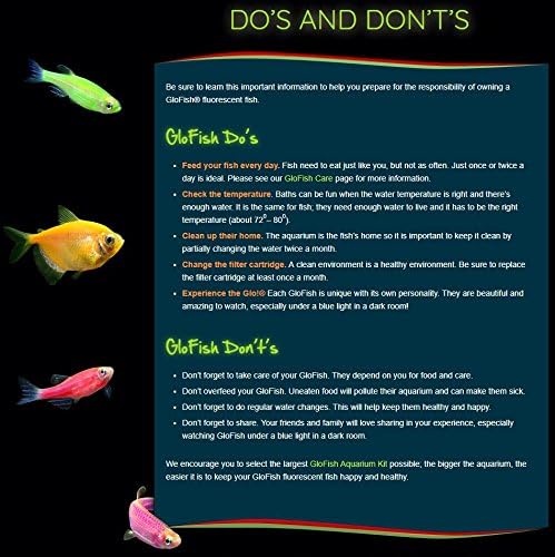 GloFish Aquarium Gravel, Pink/Green/Blue Mix, Complements Tanks, 5 Pounds - Image 6