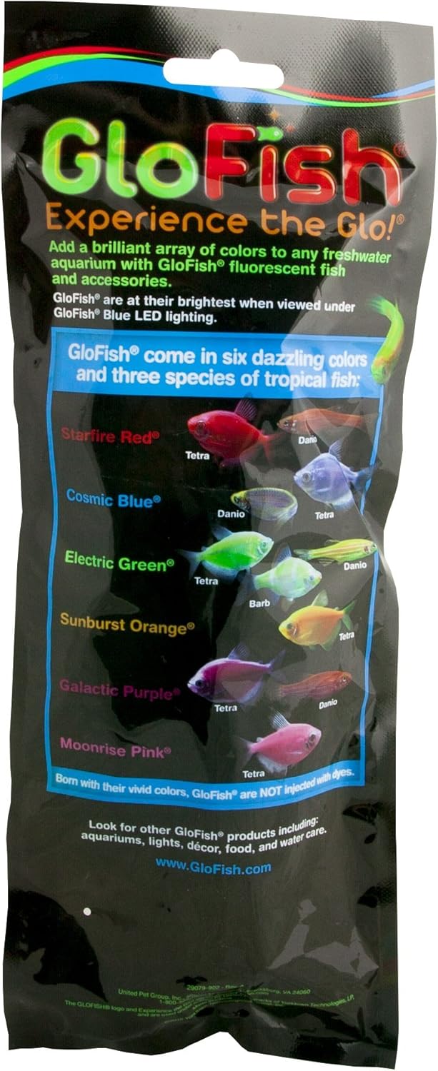GloFish Fluorescent Plant, Blue Small, Aquarium Décor, Fluoresces Under Blue LEDs - Image 3