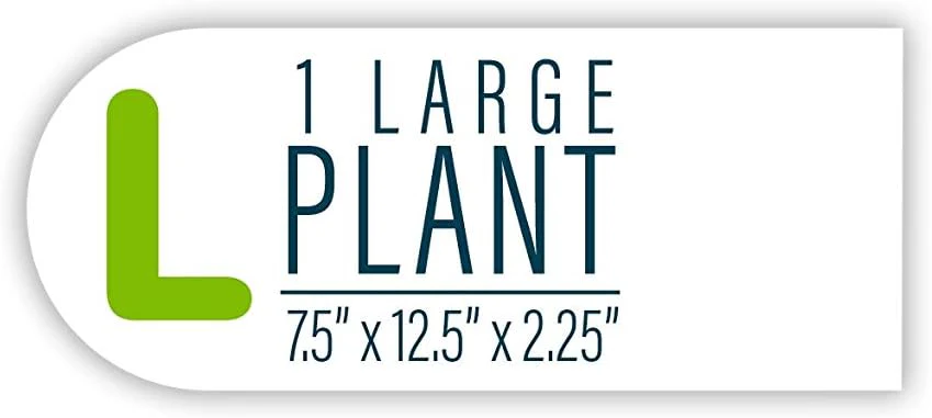 GloFish Mangrove Green Tree Plant Fluorescent Under Blue LED Light Aquarium Decor - Image 6