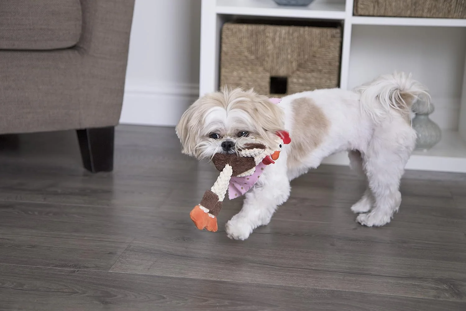 goDog Checkers Just for Me Skinny Rooster Squeaky Plush Dog Toy, Chew Guard Technology - Brown - Image 4