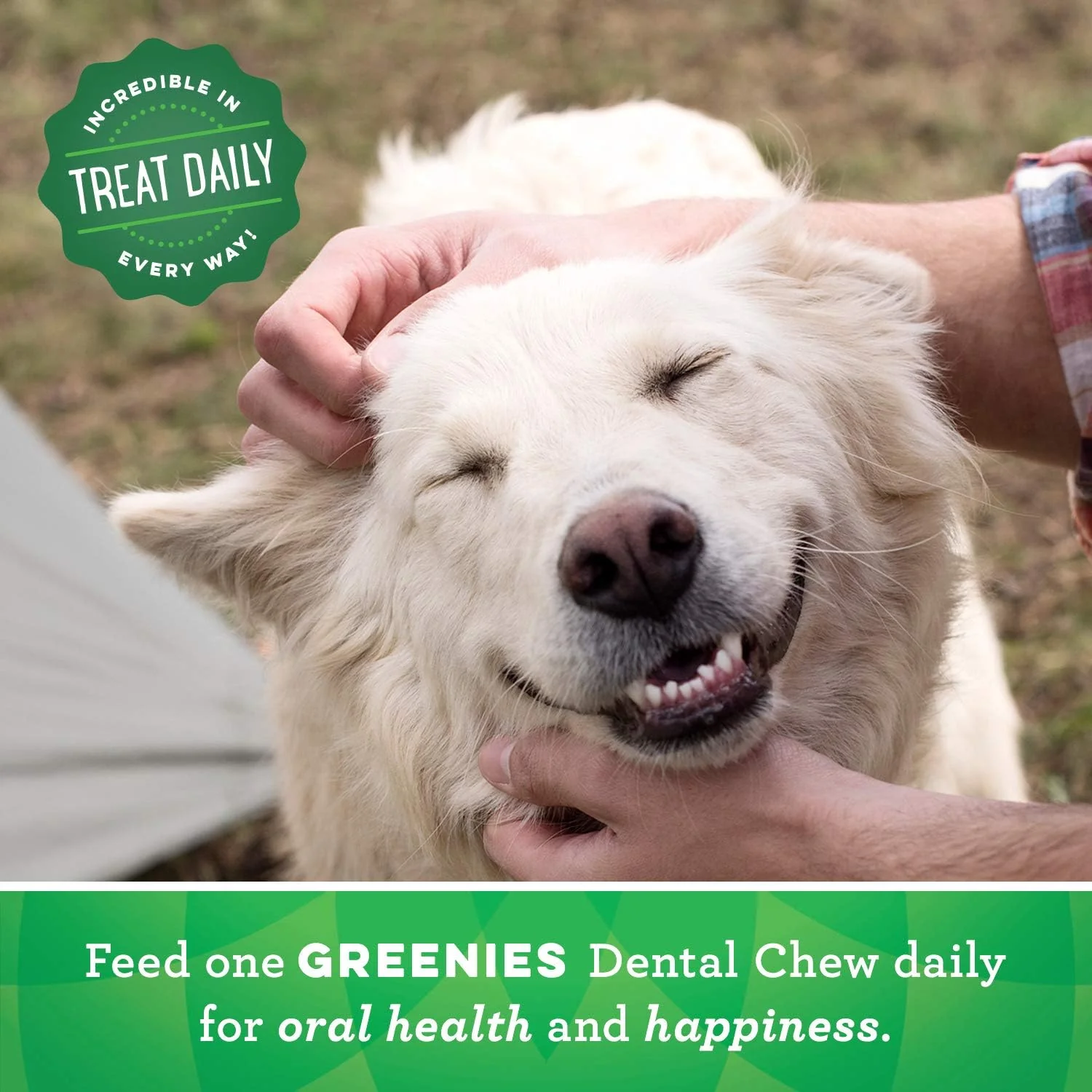 Greenies Large Natural Dental Care Dog Treats Blueberry Flavor - Image 9