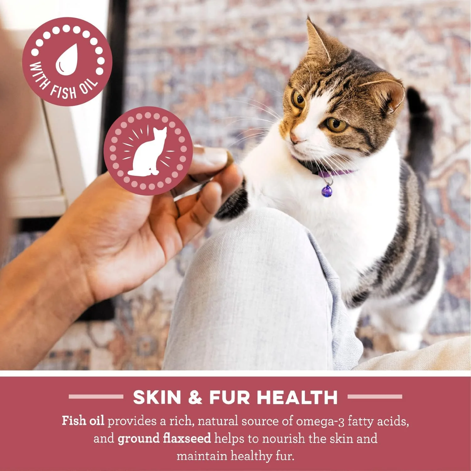 Greenies Feline Smartbites Skin & Fur Crunchy and Soft Natural Cat Treats, Salmon Flavor - Image 4