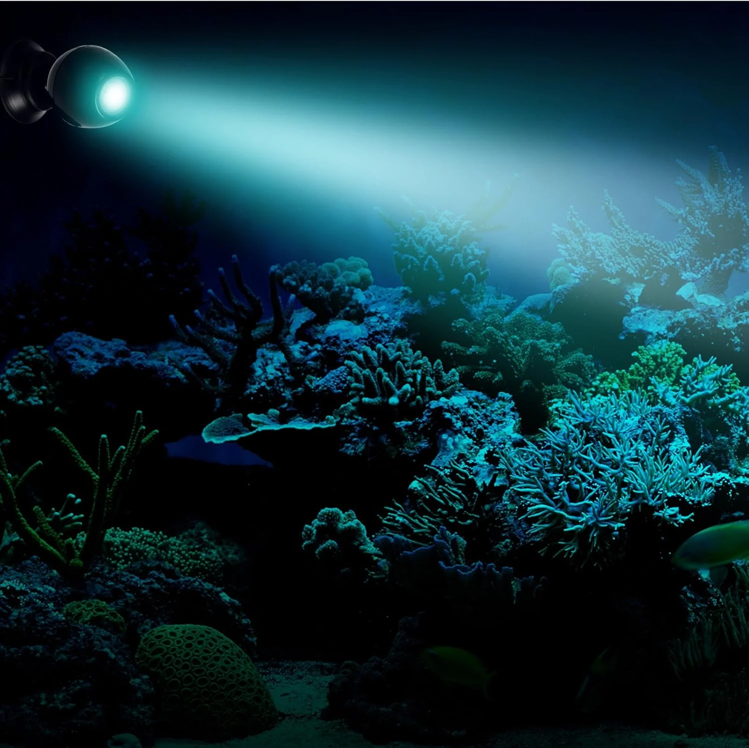 Hagen Fluval Prism Multi-Color Underwater LED Spotlight - Image 5