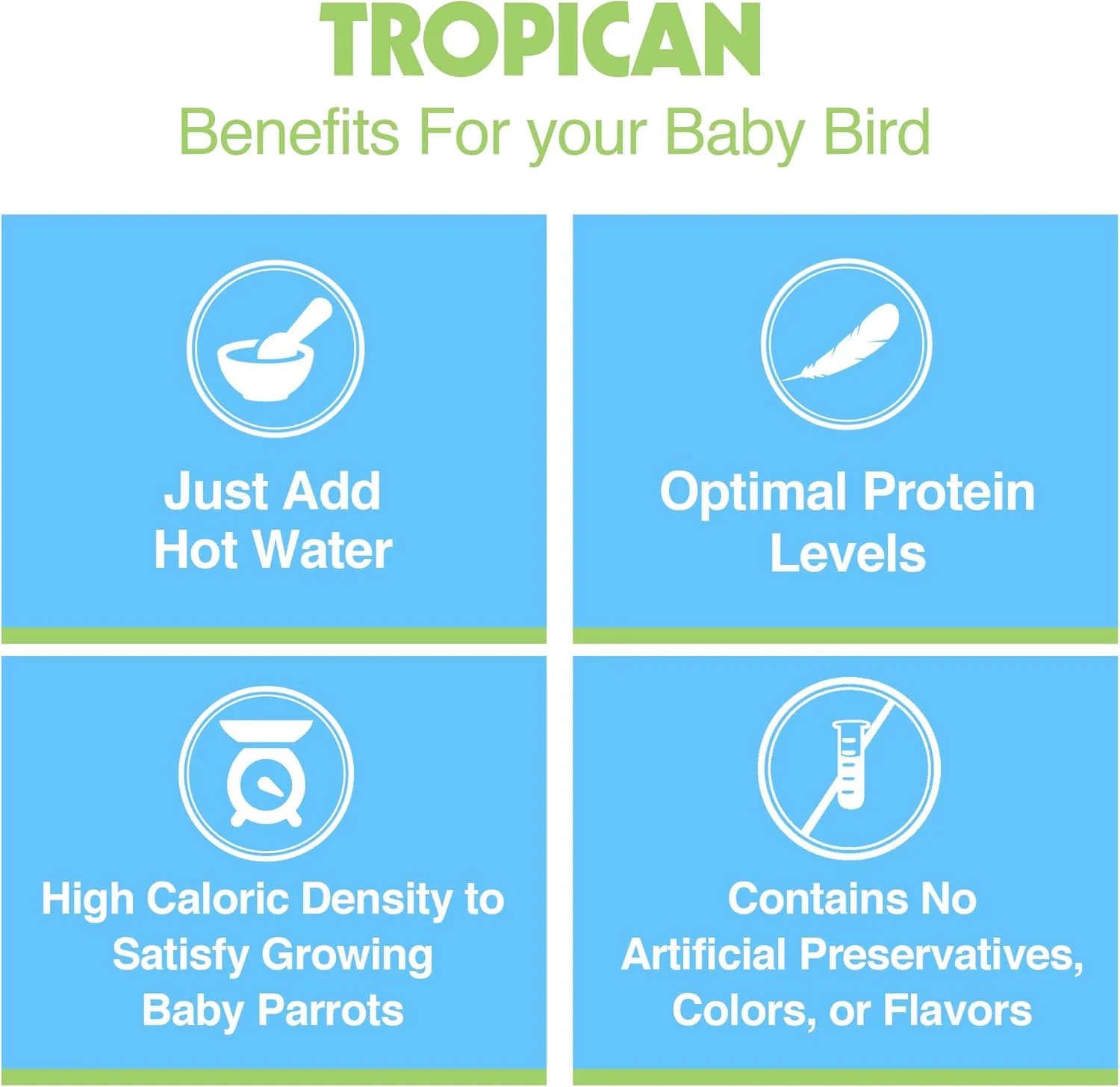 Hagen Tropican Hand Feeding Parrot Food, Baby Bird Food for Optimal Growth - Image 5