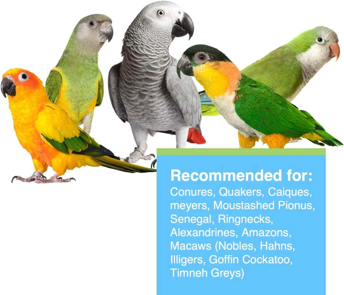 Hagen Tropimix Enrichment Food for Small Parrots, 20 lb. (9.07 kg) - HARI Small Parrot Food with Seeds, Fruit, Nuts, Vegetables, Grains, and Legumes - Image 3