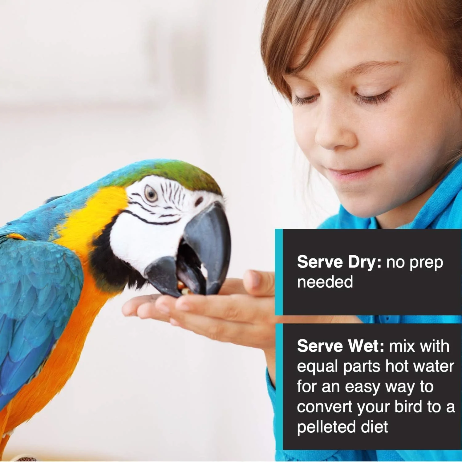 Hagen Tropimix Enrichment Food for Small Parrots, 20 lb. (9.07 kg) - HARI Small Parrot Food with Seeds, Fruit, Nuts, Vegetables, Grains, and Legumes - Image 6