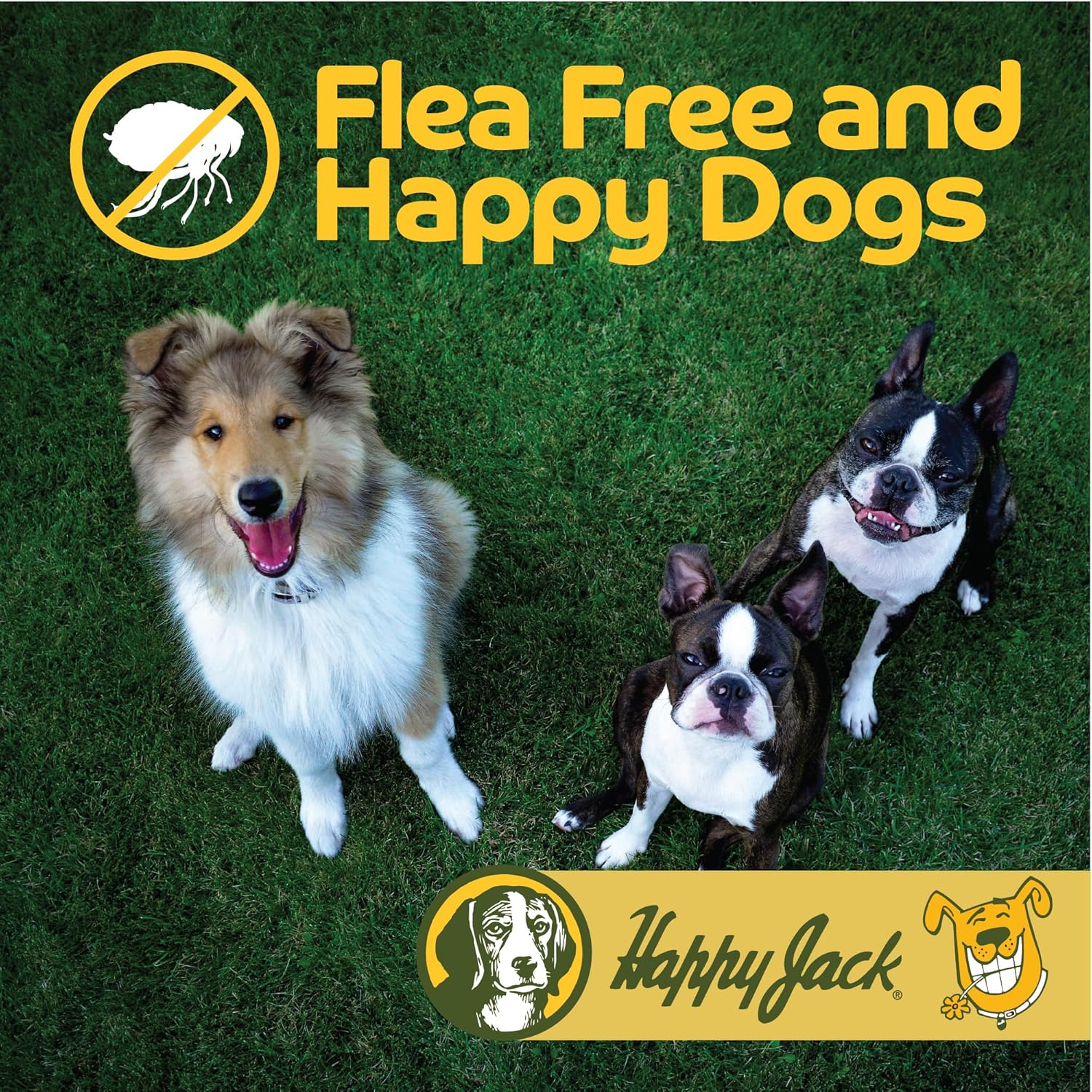 Happy Jack® Flea & Tick Powder – 5 oz - Image 3