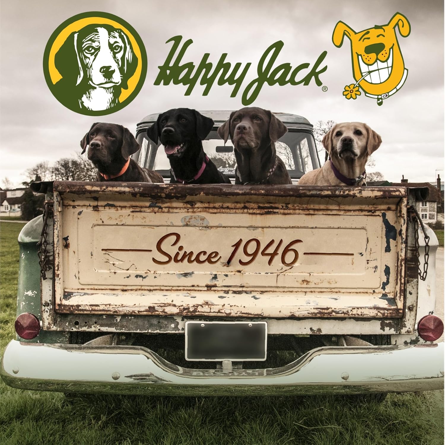Happy Jack® Paracide Flea & Tick Shampoo – 8 oz - Image 6