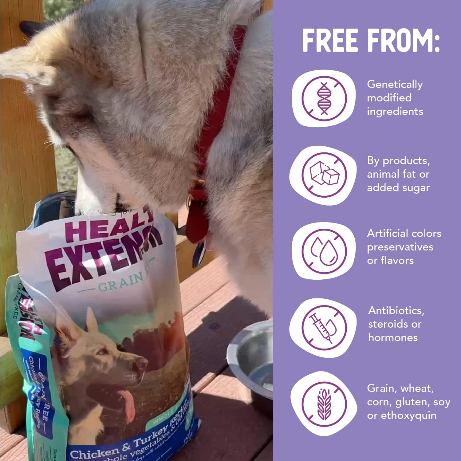Health Extension Grain Free Chicken & Turkey Dry Dog Food- Whole Foods Ingredients Formula with a Blend of Turmeric & Antioxidants for All Life Stages Dogs - Image 7