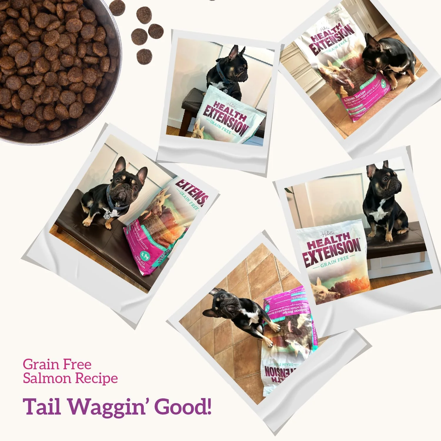 Health Extension Grain Free Venison & Sweet Potato Dry Dog Food (10 lb / 4.54 kg) - Lean Protein Formula for Dogs with Poultry Allergies & Sensitive Stomachs - Image 6